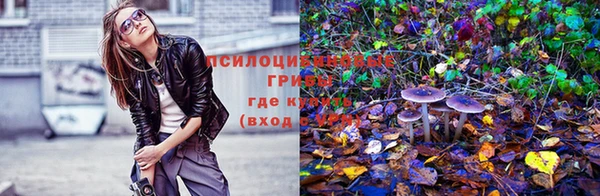 а пвп мука Лагань